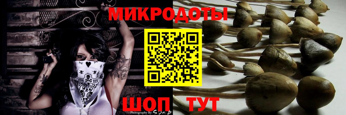 Галлюциногенные грибы Psilocybine cubensis  Псилоцибиновые грибы мухоморы  Котлас  Вход с VPN 